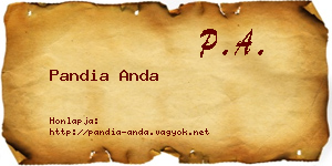 Pandia Anda névjegykártya